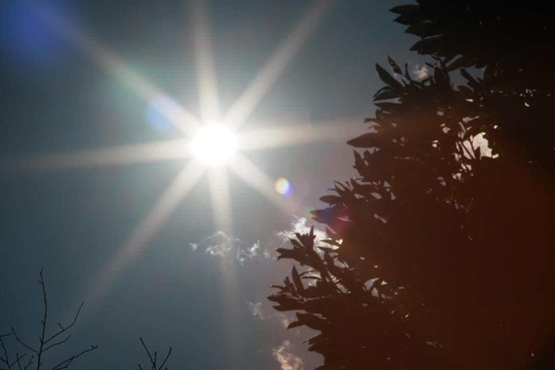 【整備＆テスト済】Canon New FD 135mm f2.8 898