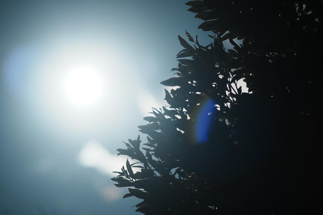 【整備＆テスト済】Canon New FD 135mm f2.8 898