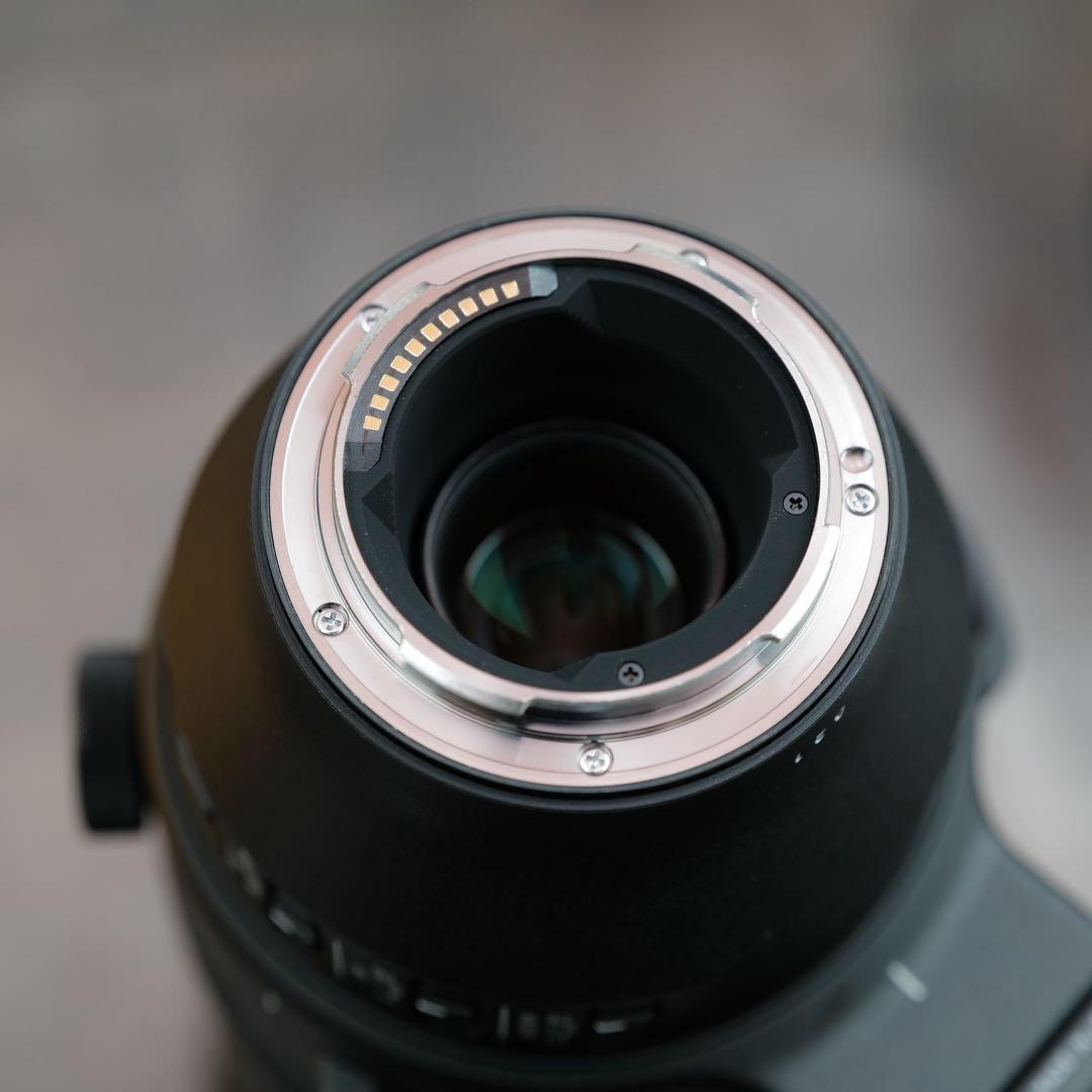 SIGMA 150-600mm f5-6.3 DG DN OS Lマウント用