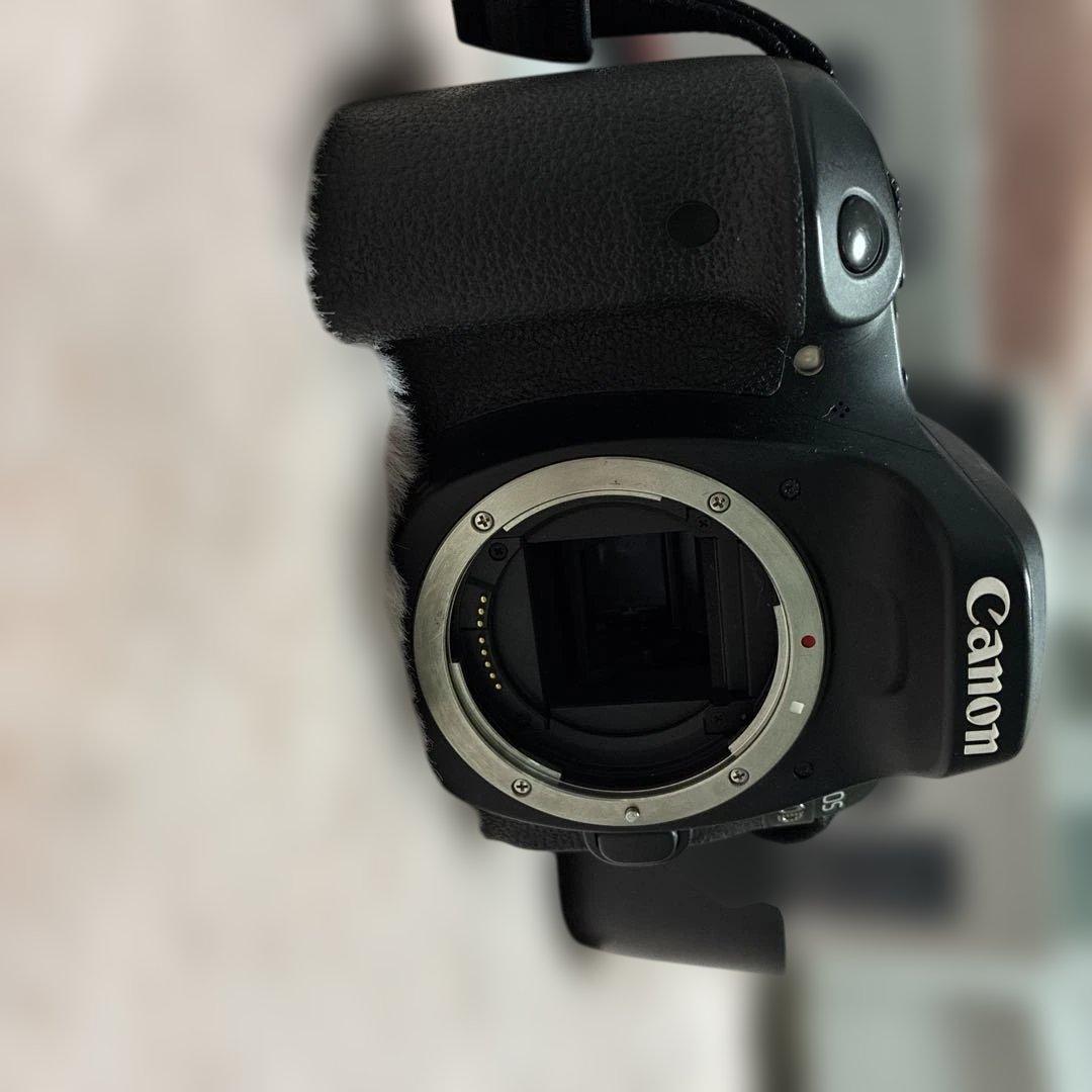 見品！Canon EOS 80D デジタル一眼レフカメラ　ダブルレンズキット