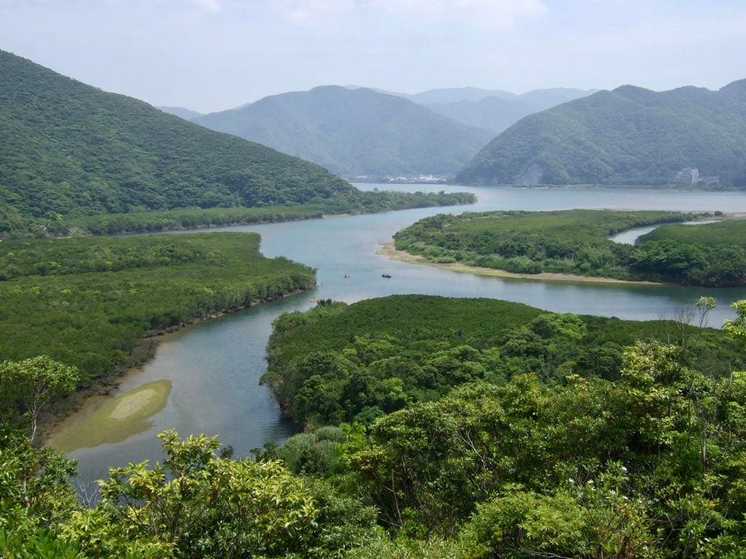 動作品 FUJIFILM FINEPIX F31fdコンパクトデジタルカメラ