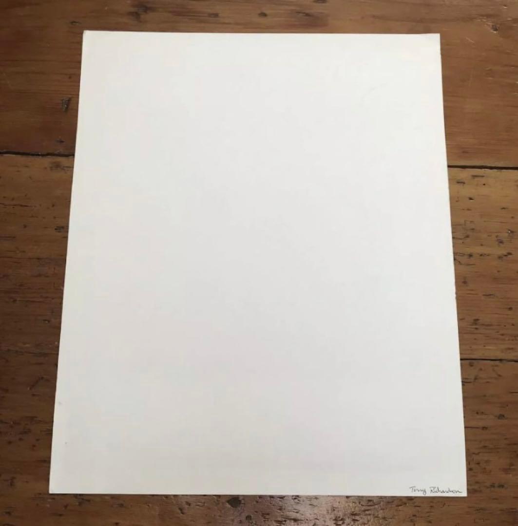 限定 Terry Richardson テリーリチャードソン シルクスクリーン