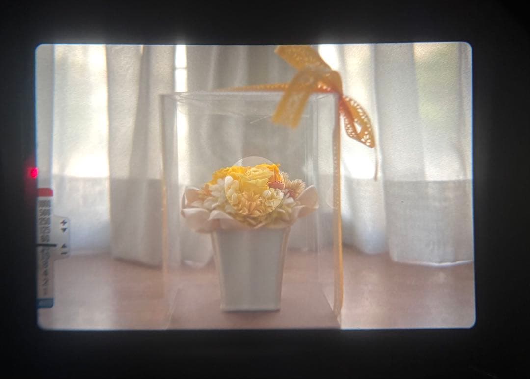 専用★ OLYMPUS OM-2N + 標準レンズ 50mm