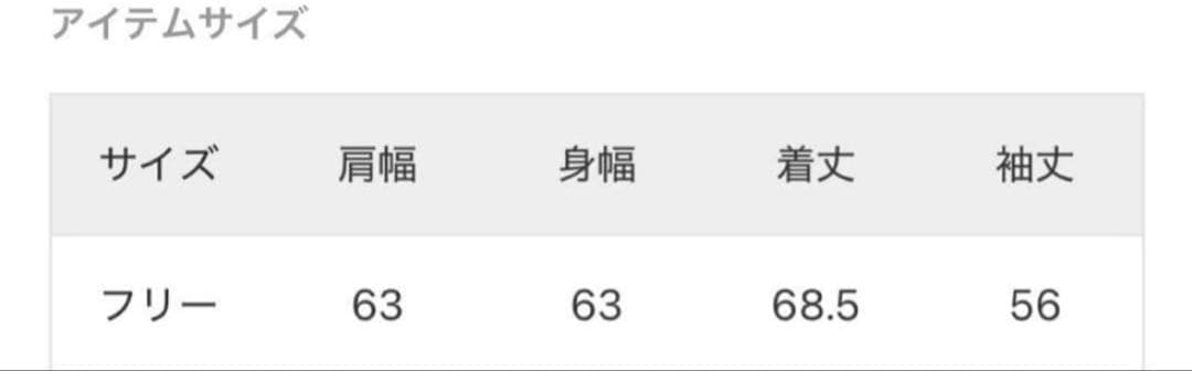 AP STUDIO New Warm Zip Hoodie ホワイト