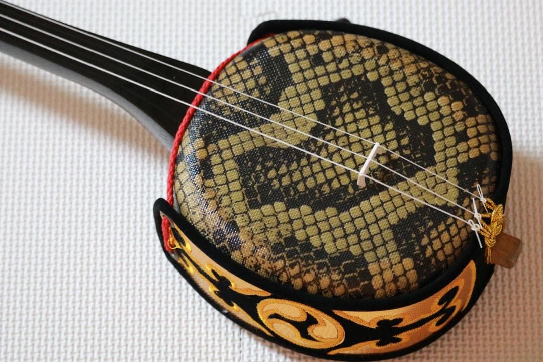 三線 沖縄三線初心者にもやさしいお得なセット、ＤＶＤ、教本、チューナー他付属品付