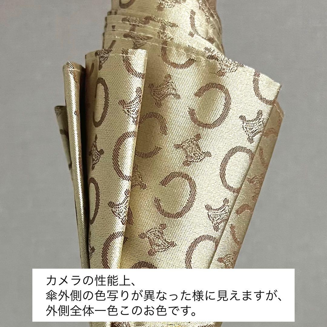 hirochan✨CELINEセリーヌ長傘Cマカダム総柄トリオンフ保存袋