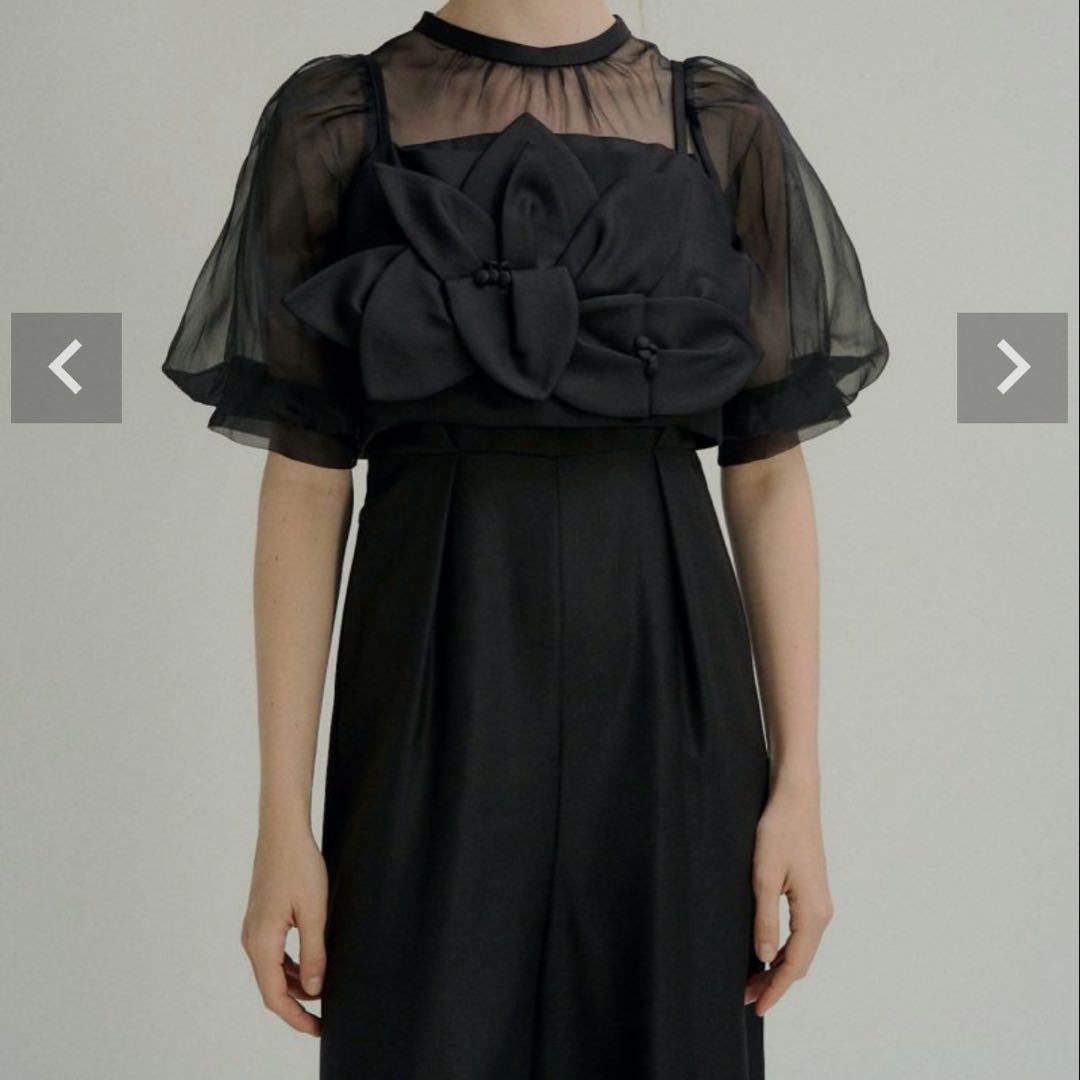 LERURE パーティードレス　フラワービスチェドレス