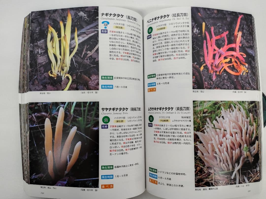 『藻岩山の森林と関わるきのこたち＆札幌近郊林のきのこ』大型本 完売本 稀覯本