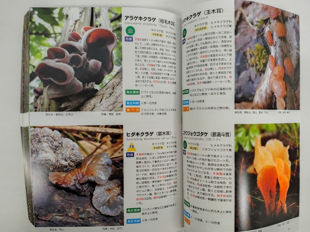 『藻岩山の森林と関わるきのこたち＆札幌近郊林のきのこ』大型本 完売本 稀覯本