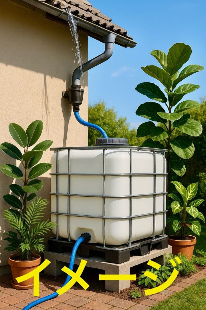 ほれほれ様。 ホワイトタンク×1