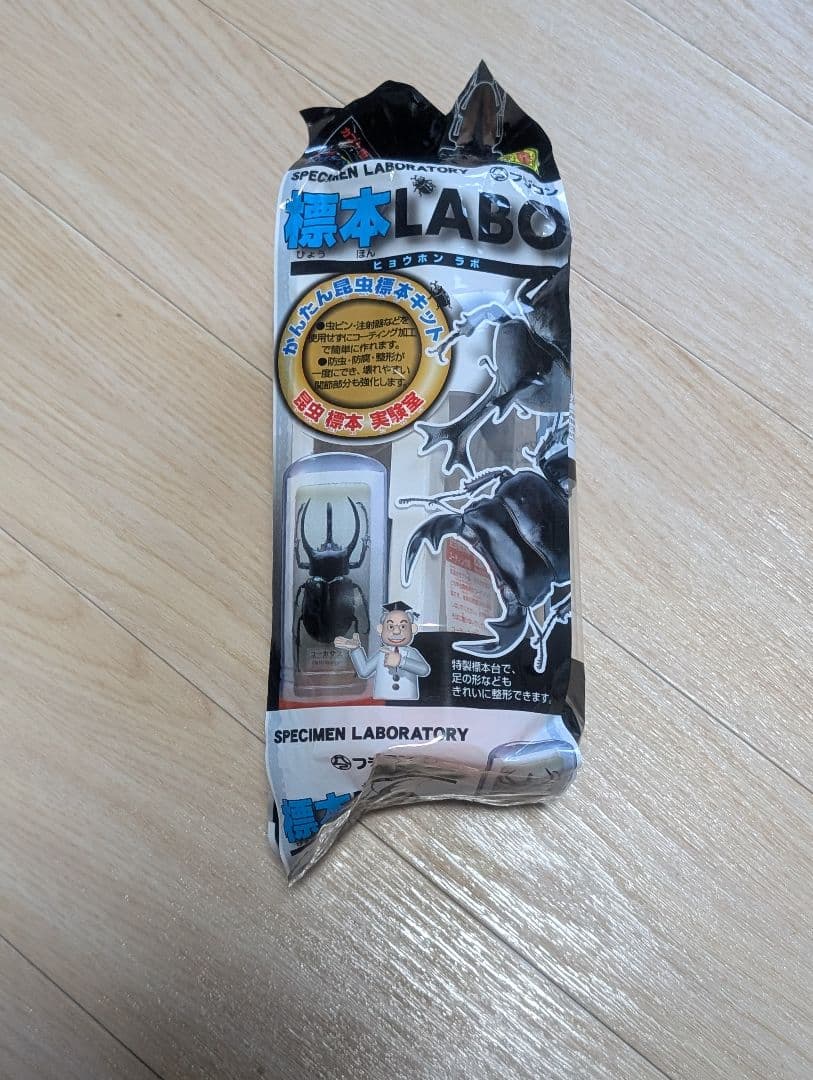 標本まとめ売り　クワガタ11匹