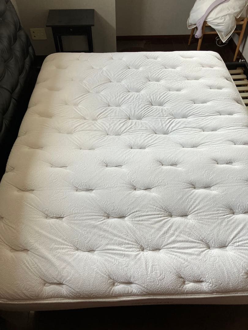 【最終価格】レガリア　パーフェクション　ワイドダブル