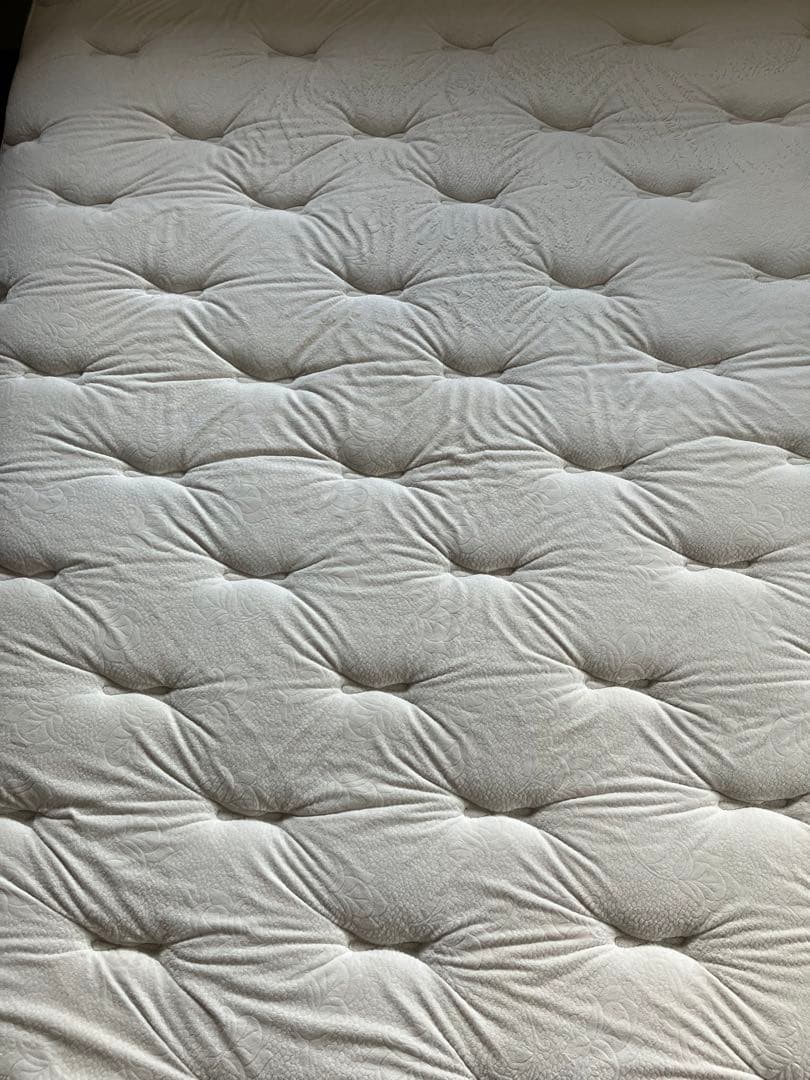 【最終価格】レガリア　パーフェクション　ワイドダブル