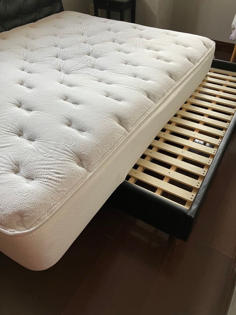 【最終価格】レガリア　パーフェクション　ワイドダブル