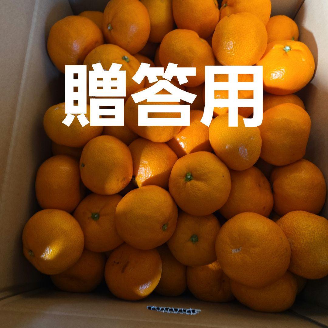 贈答品　和歌山みかん