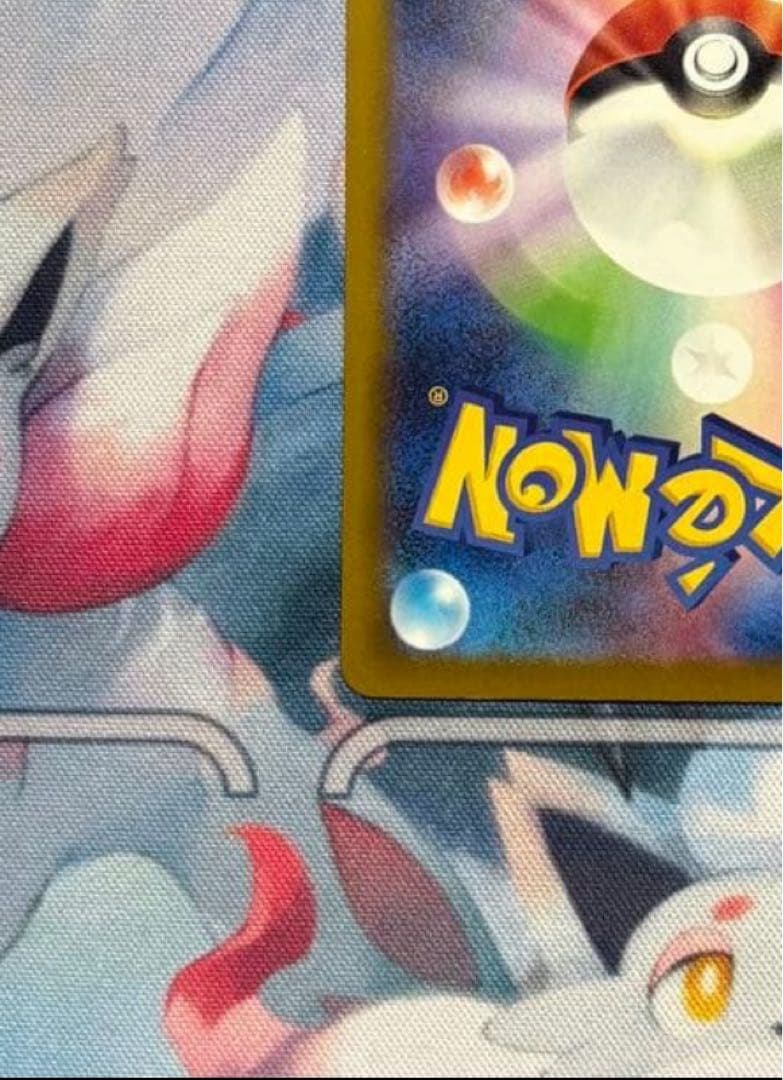 メガカイリューex SAR psa鑑定提出予定品