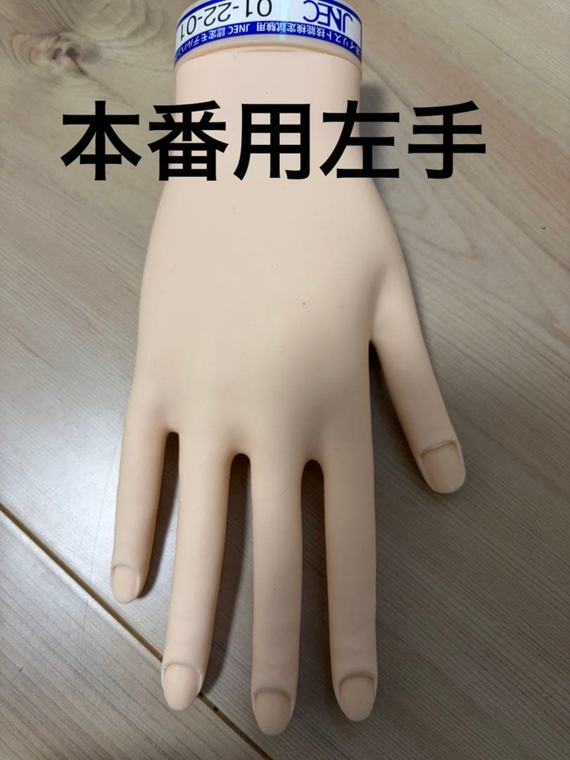 ネイル検定、ネイルアート練習用手モデルセット