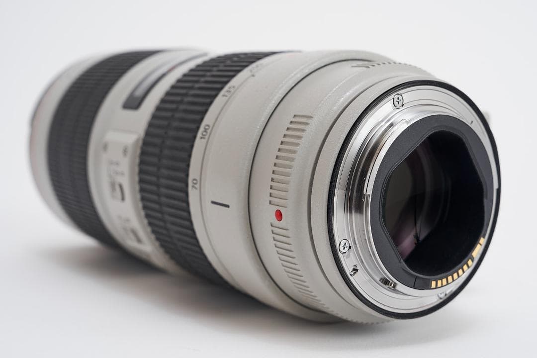 Canon EF 70-200mm f/2.8L IS ⅲ USM