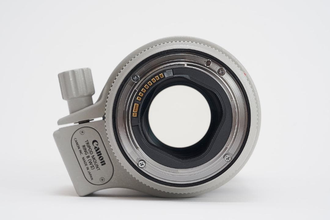 Canon EF 70-200mm f/2.8L IS ⅲ USM