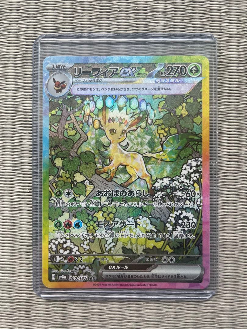 レシムフ　テラステルフェス　SAR