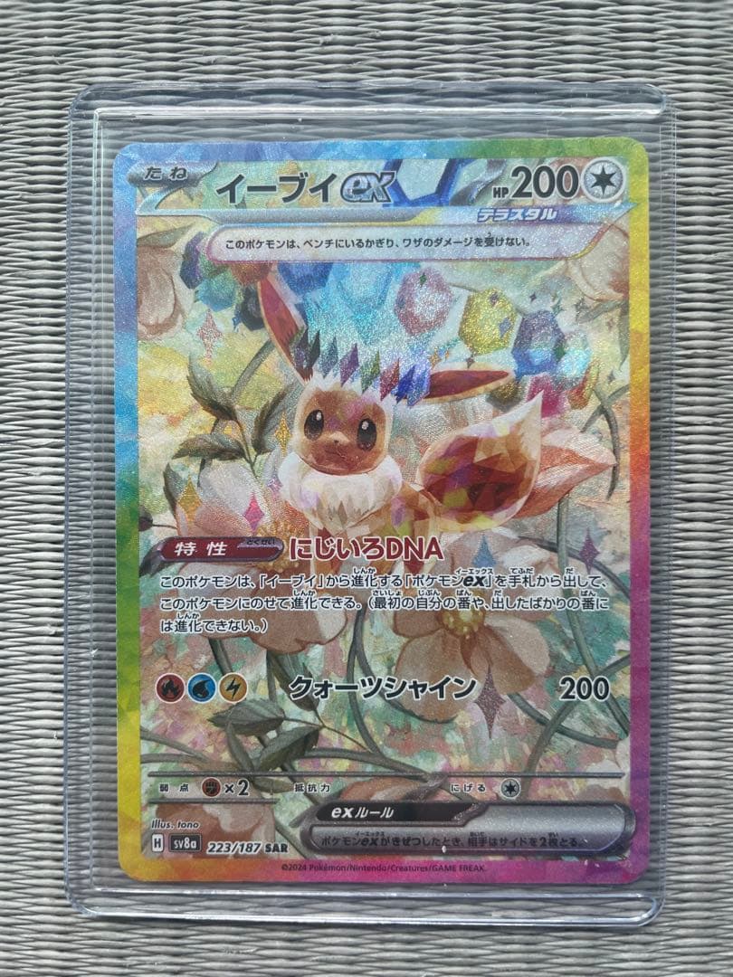 レシムフ　テラステルフェス　SAR