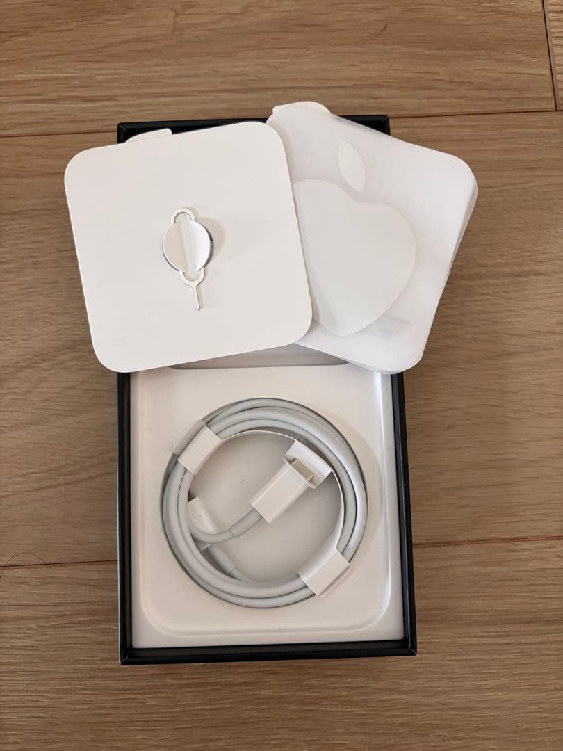 【美品】iPhone 13 Pro シエラブルー 本体 256GB＋充電ケーブル