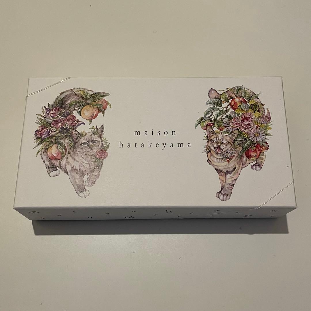 メゾンハタケヤマ　フリュイコンフィ　サロショ　サロンデュショコラ