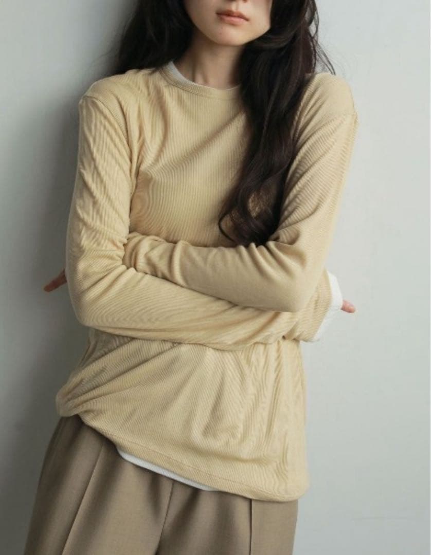 トップス anuke Layered Sheer Long T-shirts