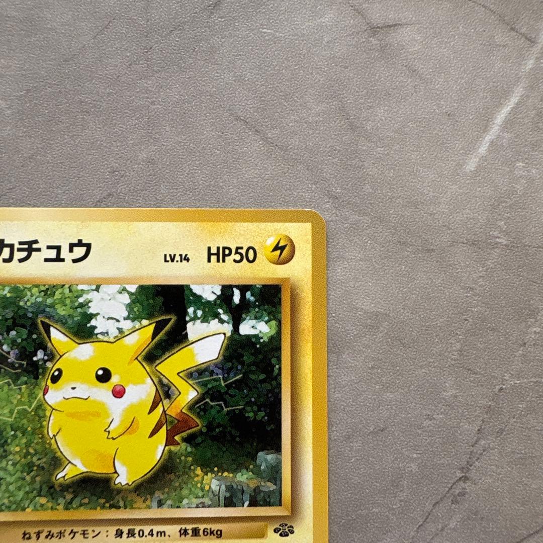【旧裏】ピカチュウ 2枚セット（スパーク・かじる）コレクション品