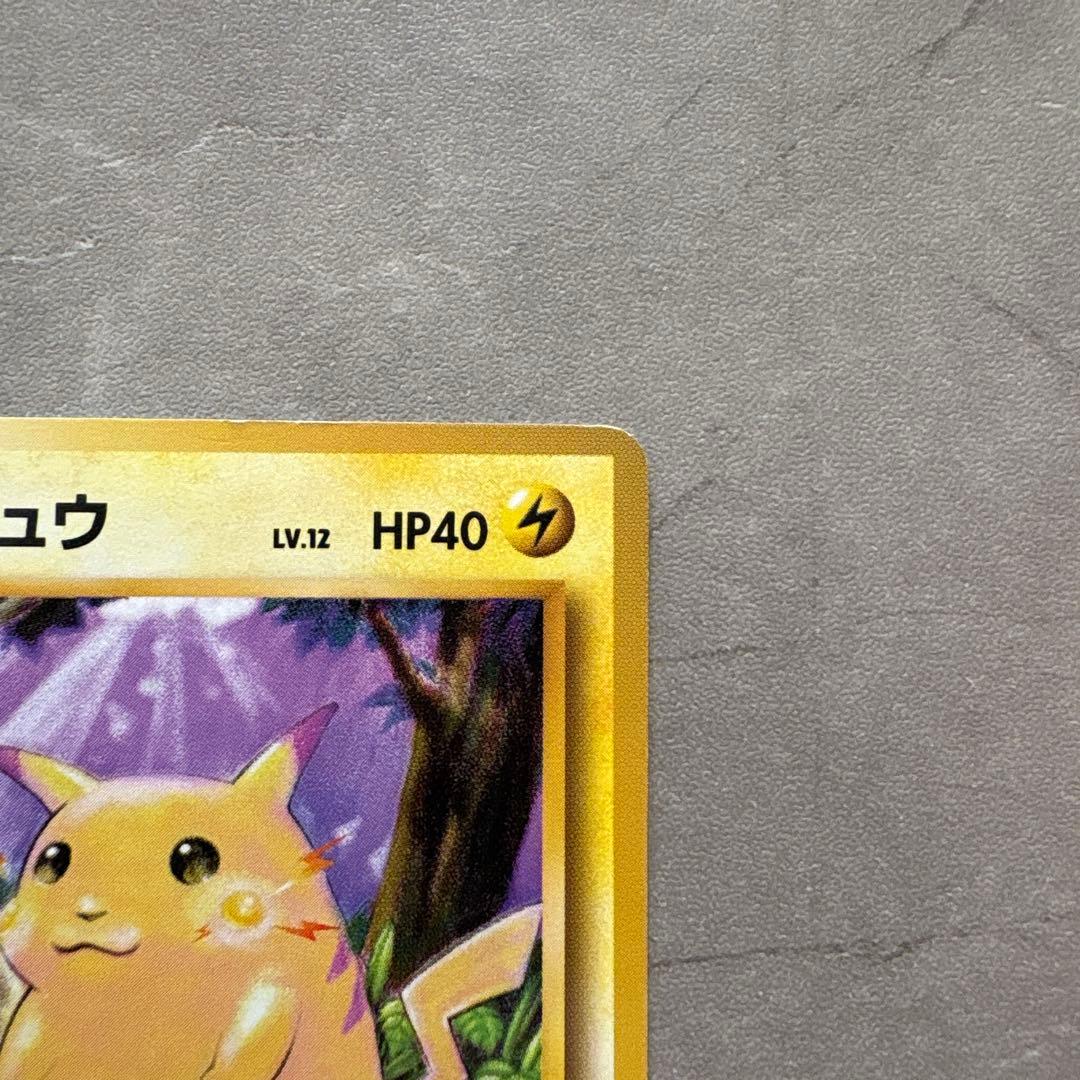 【旧裏】ピカチュウ 2枚セット（スパーク・かじる）コレクション品