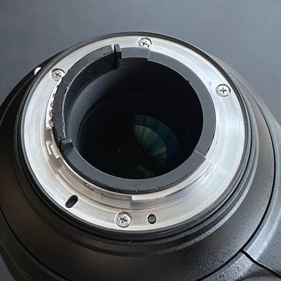 レンズ(ズーム) 200-500mm f/5.6