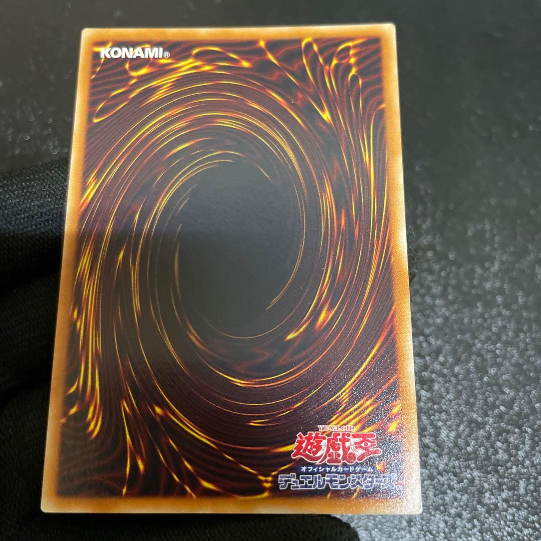 【美品】　ブラックフェザー・ドラゴン　綺麗