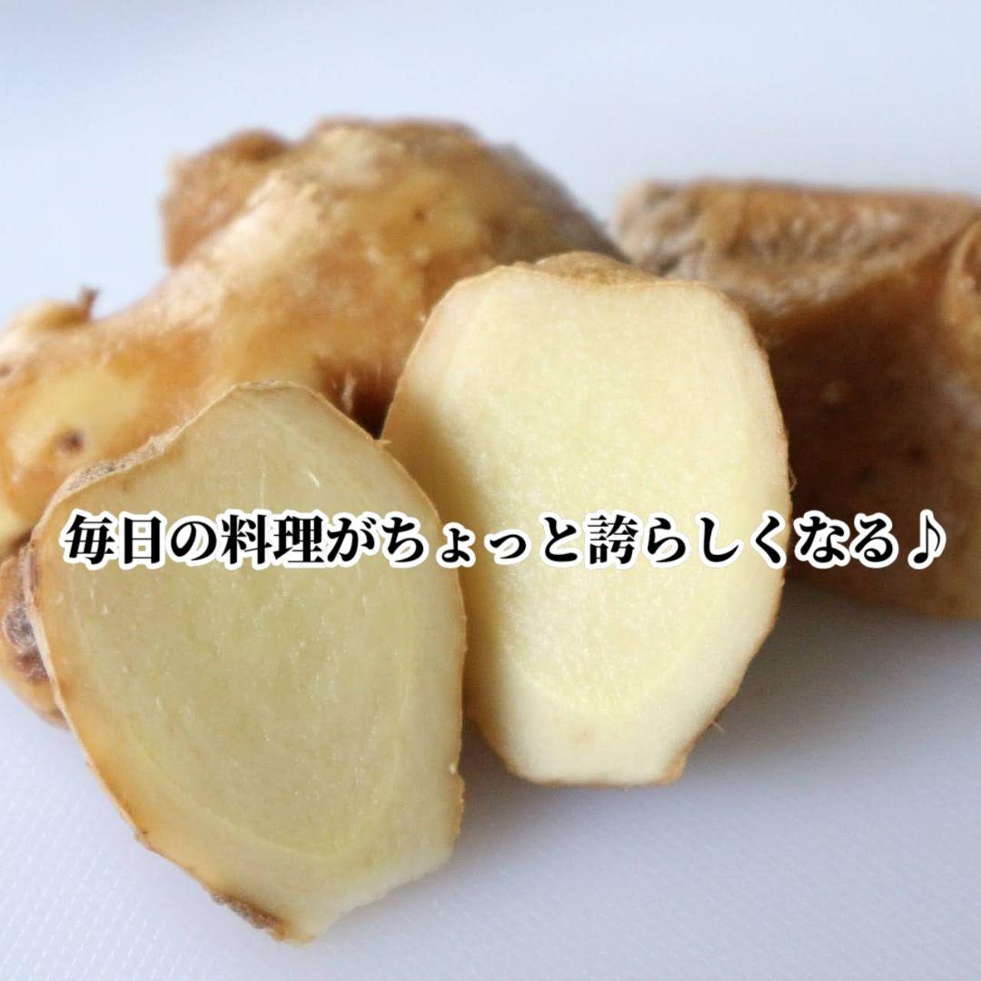 UZU 新生姜2,6kg 古根2,6kg 農薬肥料不使用 熊本県産