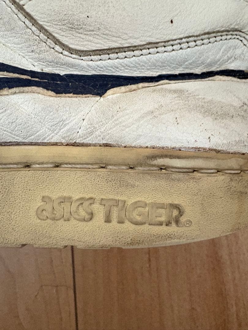 アシックス　ポイントゲッター 28㌢　90S