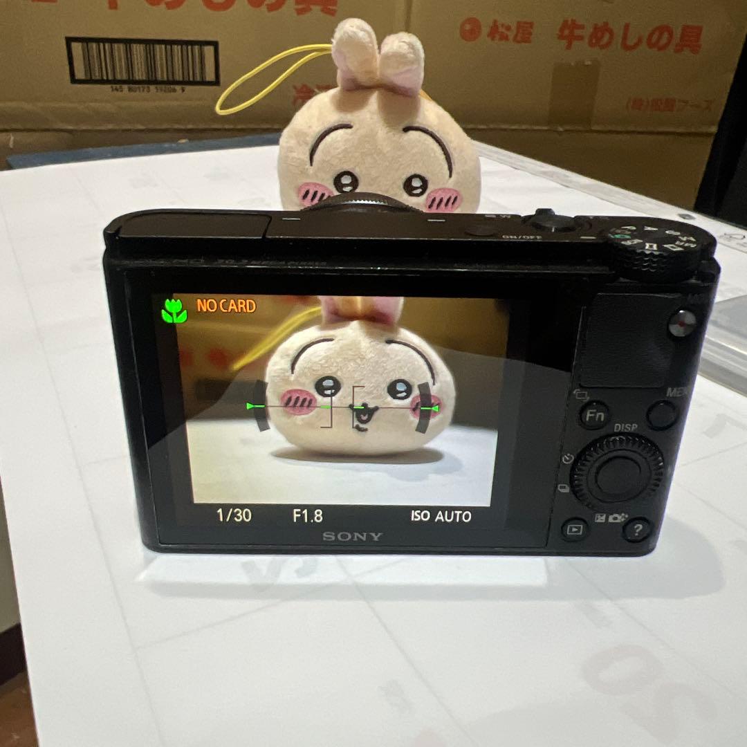 ソニーDSC-RX100