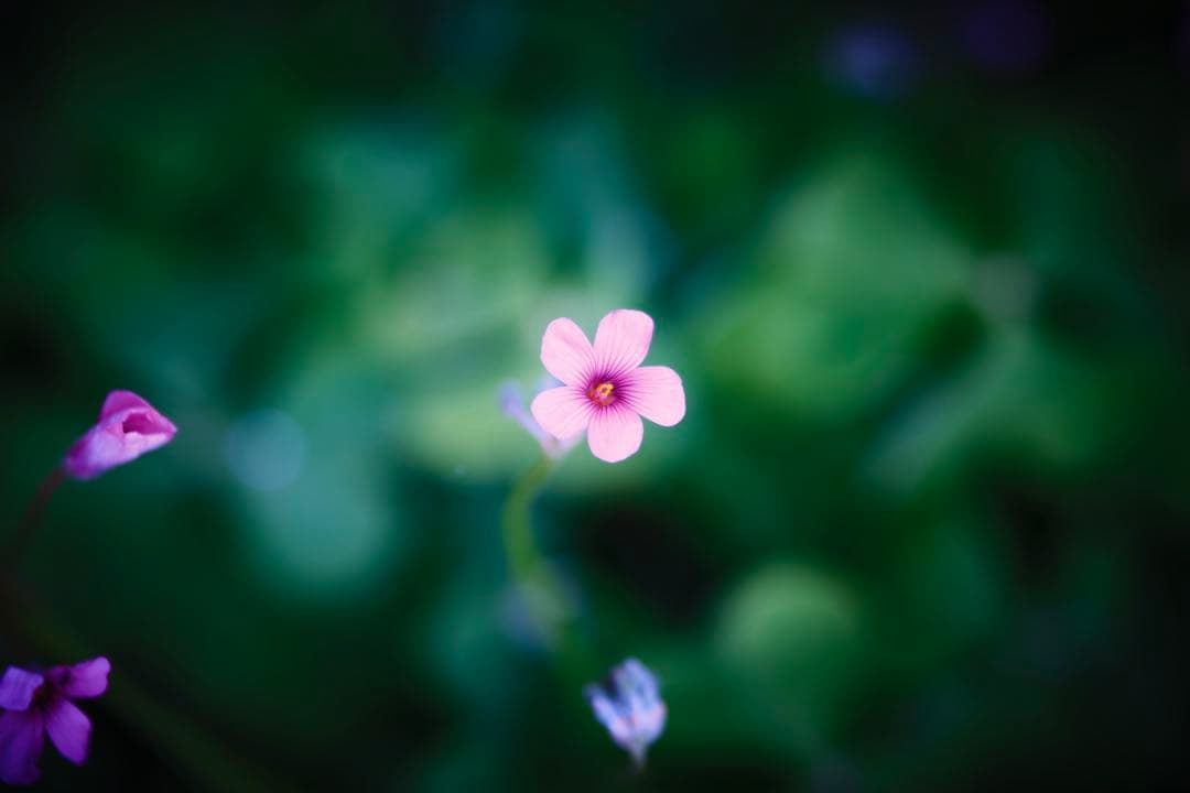 レンズ(単焦点) FUJIFILM XF90mm F2 R LM WR