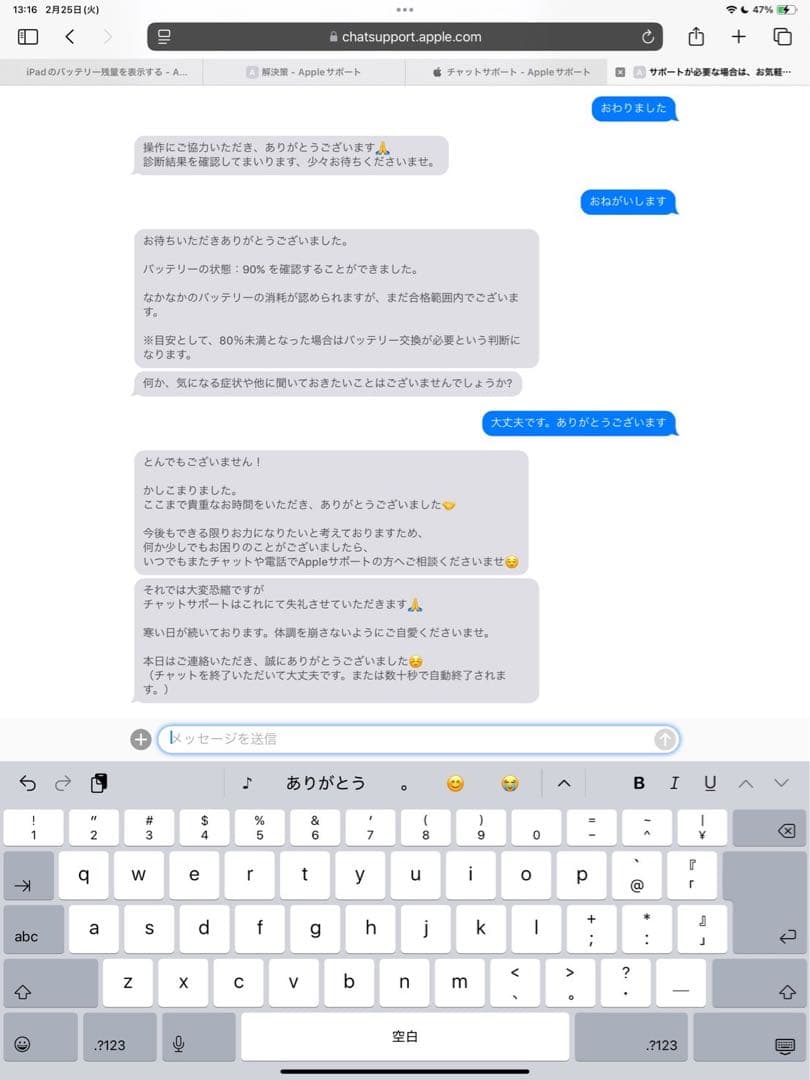 iPadプロ 12.9インチ 第4世代 512GB