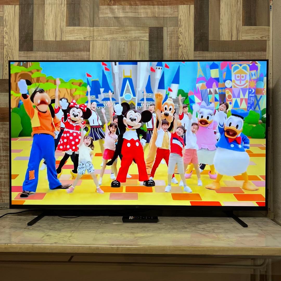 即日受渡❣️全国送料込半年前購入FPD55型4KGoogleTV ネット動画多数