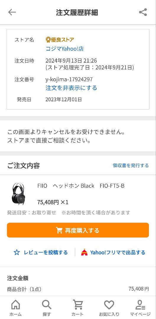 24時間セール [国内正規品] FIIO FT5 おまけ付