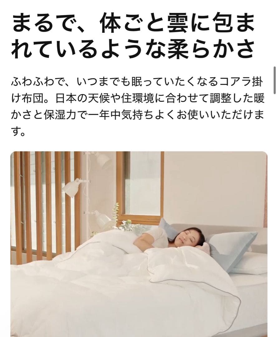✨コアラ掛け布団　セミダブル ふわふわとした触り心地と保温力を兼ね備えた掛け布団