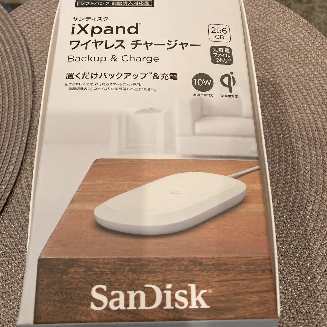 スマホアクセサリー SanDisk SDIZ90N-256G