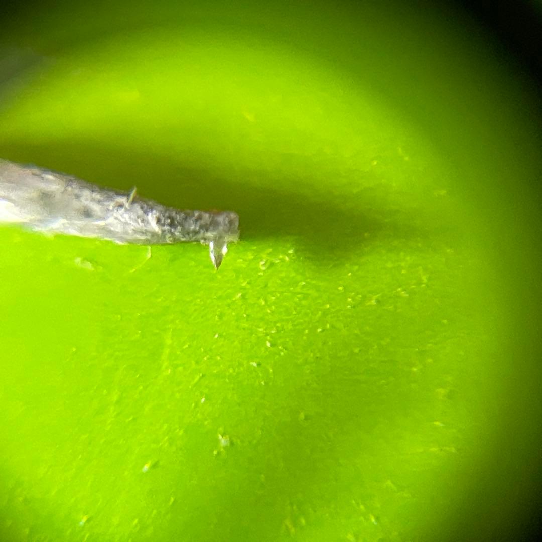 SHURE V15 TYPEⅢ 純正 MMカートリッジ MM TYPE3 HE