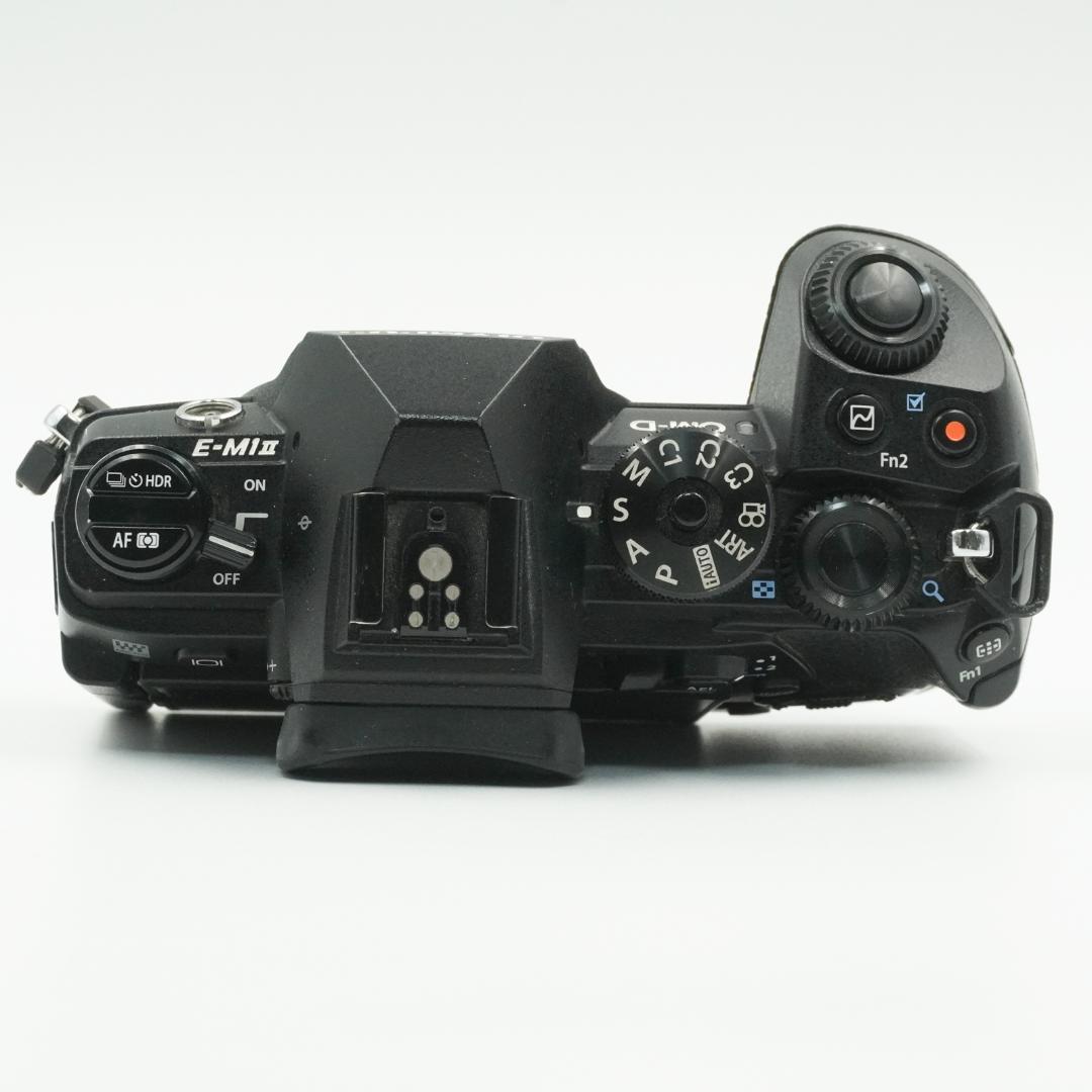 ■極上品■ OLYMPUS OM-D E-M1 MarkII ボディ #393