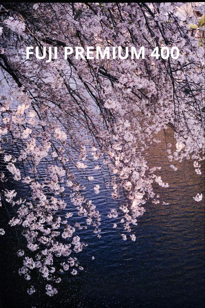 分解整備済Canon QL 17 フィルムカメラ 作動完璧確認 実用良品