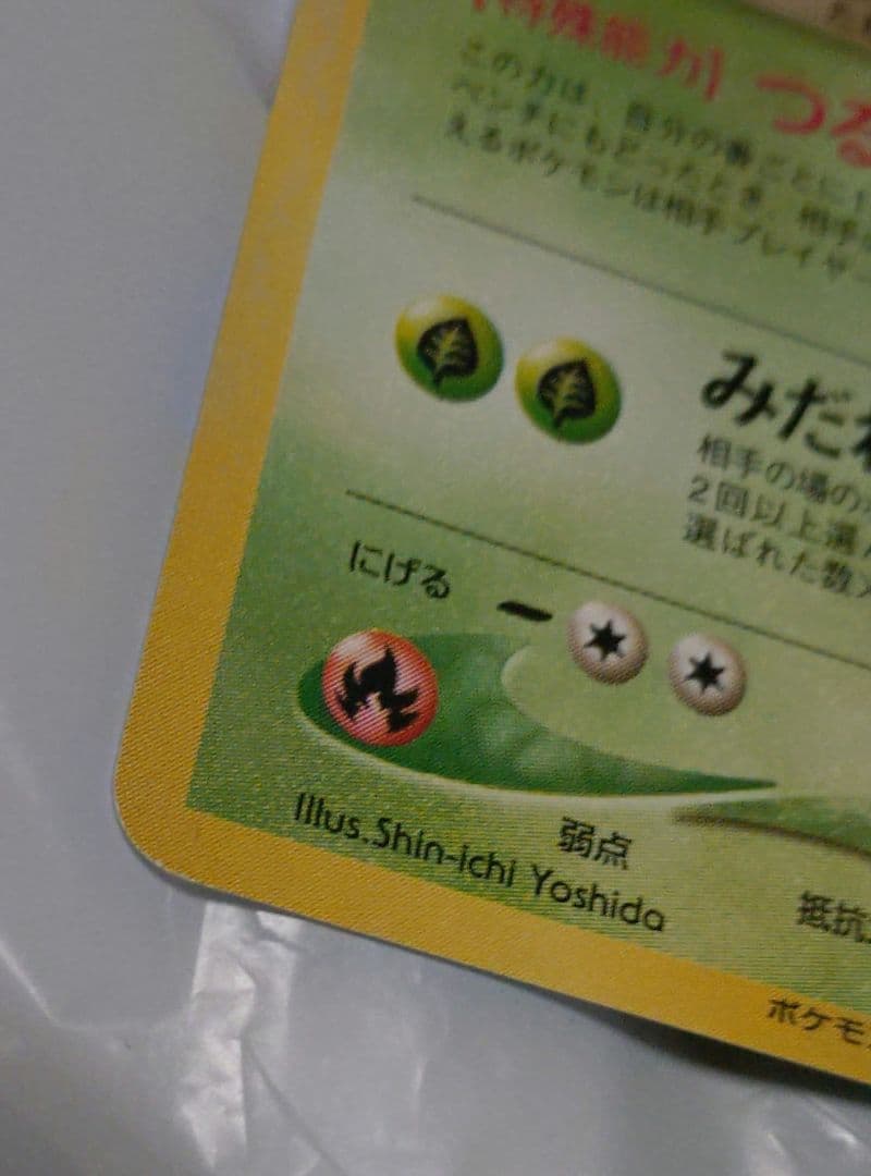 即*引様 ポケモンカード　わるいフシギソウ　わるいフシギバナ　旧裏