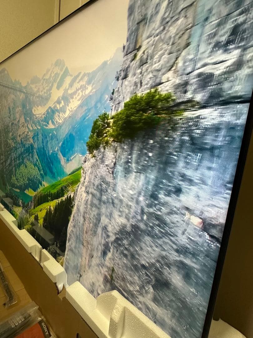 飲むヨーグルト様　SONY XRJ-65X90L BRAVIA 4k液晶テレビ