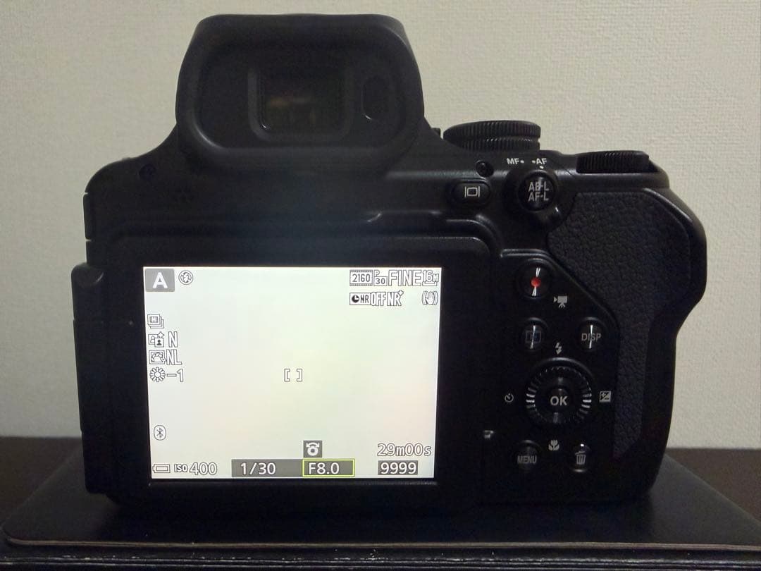 Nikon P1100 デジタルカメラ おまけ付き ニコンダイレクトで購入