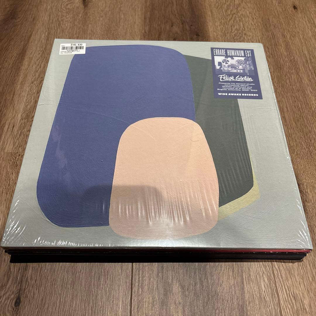 DEEP HOUSE レコード　１０枚セット