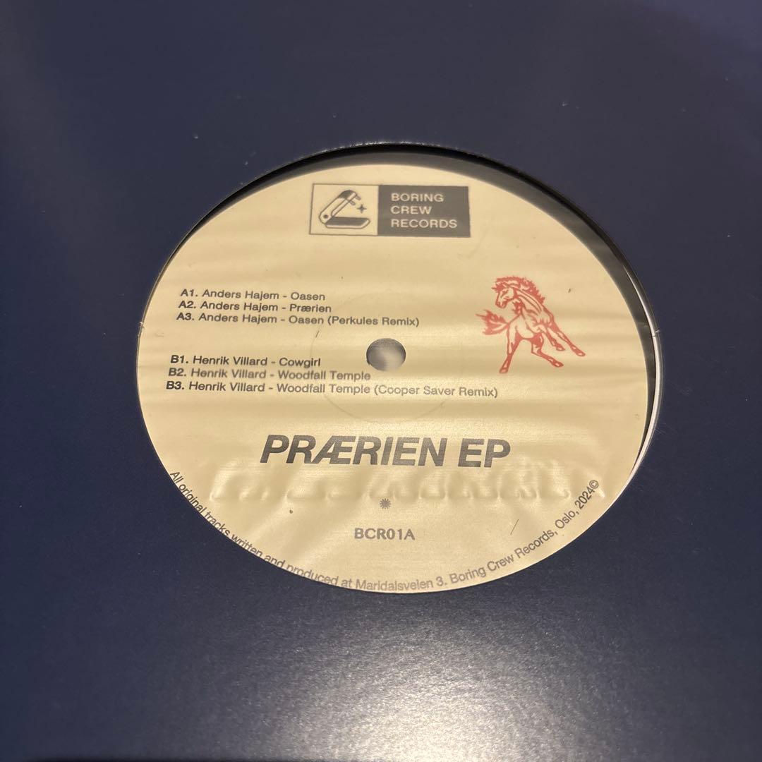 DEEP HOUSE レコード　１０枚セット