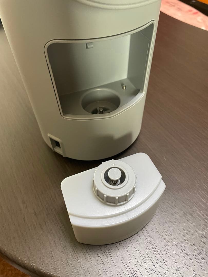 SALONIA ピュアブライトスチーマー